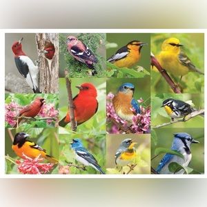 Springbok puzzle 500 pieces